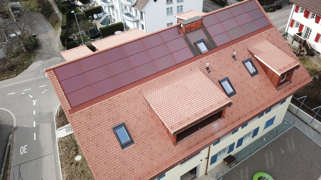 Referenzobjekt Goldene Rebe Referenzobjekt Goldene Rebe