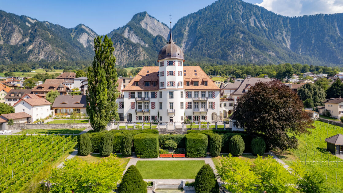 Referenzobjekt Dach Schloss Zizers 1