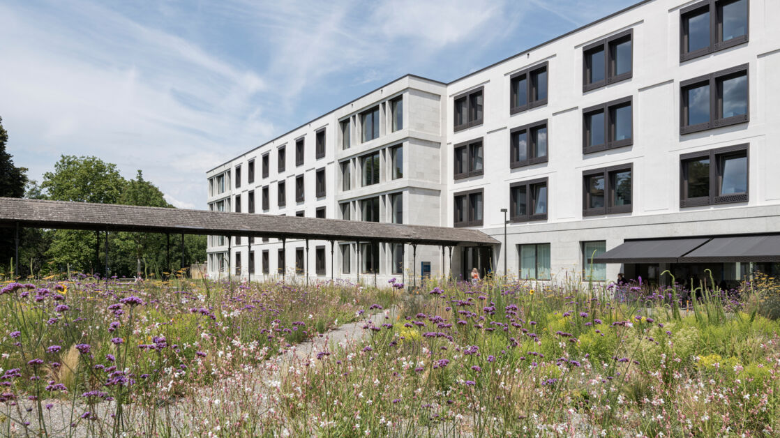 K&ouml;nigsfelden Neu 3