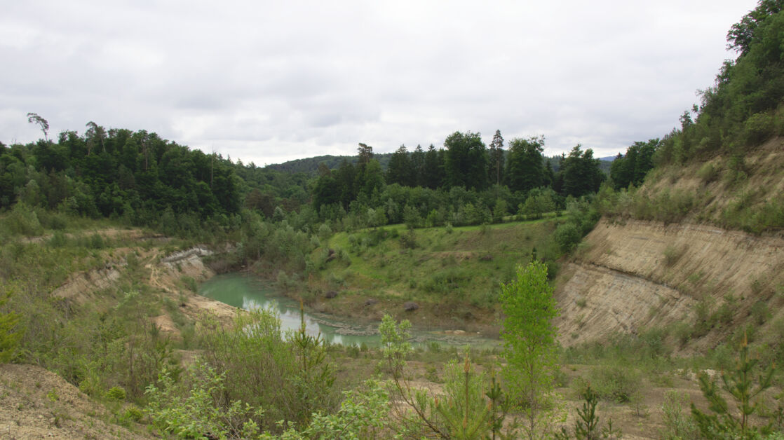 Neophyten Grube Rafz 2