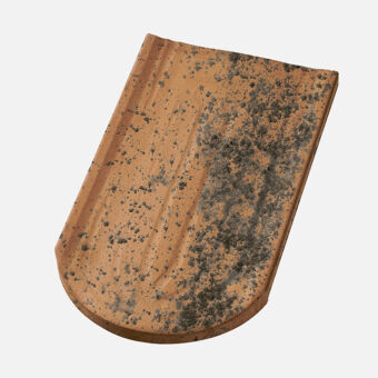 Product shot Casta