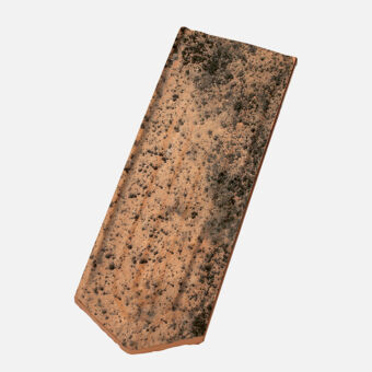 Single product shot of Casta Product shot Casta