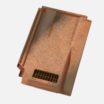 Single product shot of Swiss TL Product shot of Swiss TL