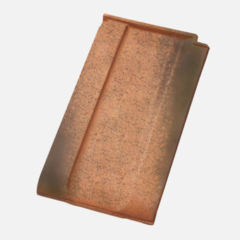 Product shot of Swiss TL
