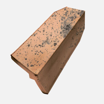 Single product shot of Casta Product shot Casta