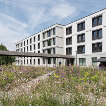 K&ouml;nigsfelden Neu 3