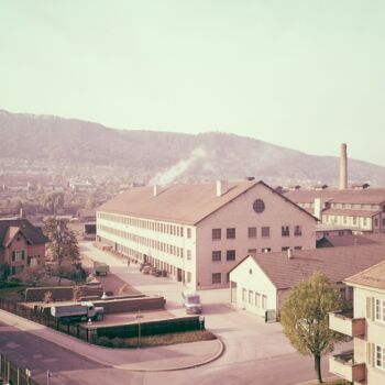 Geschichte Werk Tiergarten