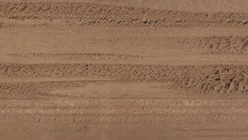 Urban Rosenborg Urban Rosenborg Promobild