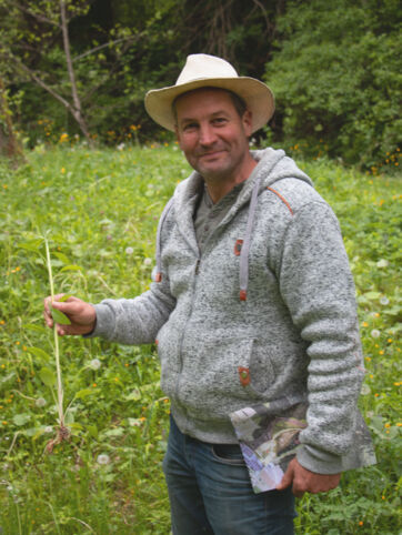 Neophyten Grube Rafz 1 Neophyten Grube Rafz 1