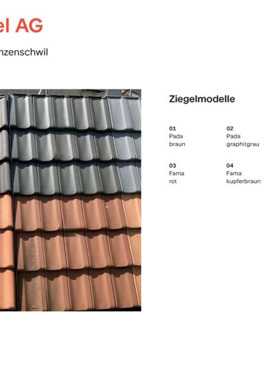 Expos tuiles Baubedarf-Richner à Hunzenschwil