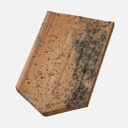 Product shot Casta