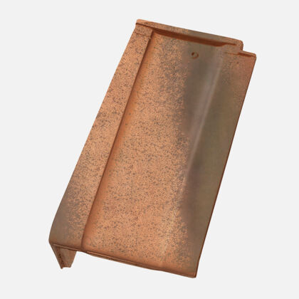 Single product shot of Swiss TL Product shot of Swiss TL