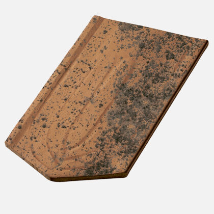Single product shot of Casta Product shot Casta