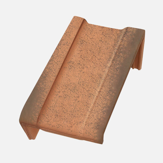 Product shot of Swiss TL