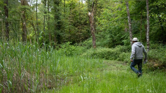 Neophyten_Grube_Rafz_5 Neophyten_Grube_Rafz_5