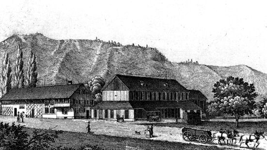Ziegelei Albishof