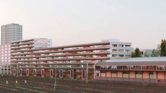 « Janus » : contribution au concours Wolf Basel, 1er prix, 2025, avec Experience Wilde Karte #08 Finalist M-AP Architectes