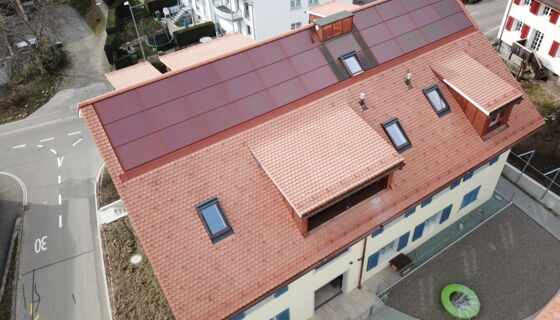 Referenzobjekt Goldene Rebe Referenzobjekt Goldene Rebe