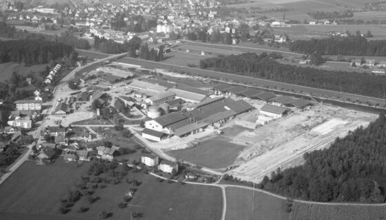 Geschichte Zürcher Ziegeleien Istighofen 1973