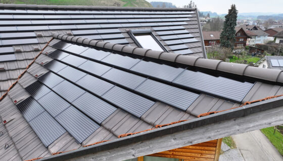 Einfamilienhaus Bütschwil 5