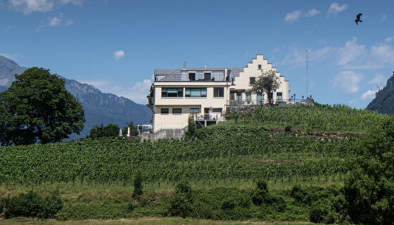 Referenzobjekt Schlössli Büel in Bad Ragaz Referenzobjekt Schlössli Büel in Bad Ragaz