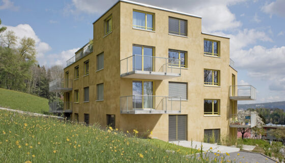 porotherm, mcs-house, multi family multi family, MCS-house in Zurich