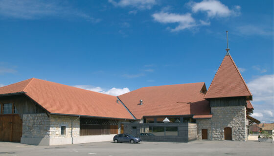 Pferdezentrum, tile, Campa, ZZ Wancor Pferdezentrum Marché-Concours in Saignélegier