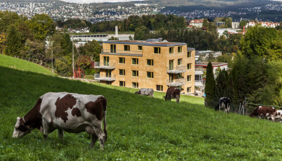 multi family, MCS-house in Zurich