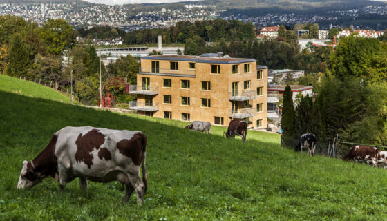 porotherm, mcs-house, multi family multi family, MCS-house in Zurich