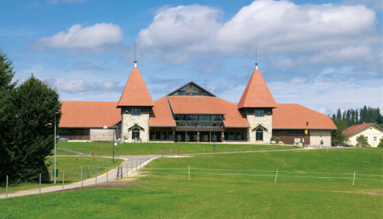 Pferdezentrum, tile, Campa, ZZ Wancor Pferdezentrum Marché-Concours in Saignélegier