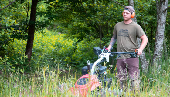 Neophyten Grube Rafz 4 Neophyten Grube Rafz 4