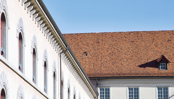 Casta Manufaktur, Dach, Mischung, Casta, Handstrich, ZZ Wancor Regierungsgebäude in St. Gallen