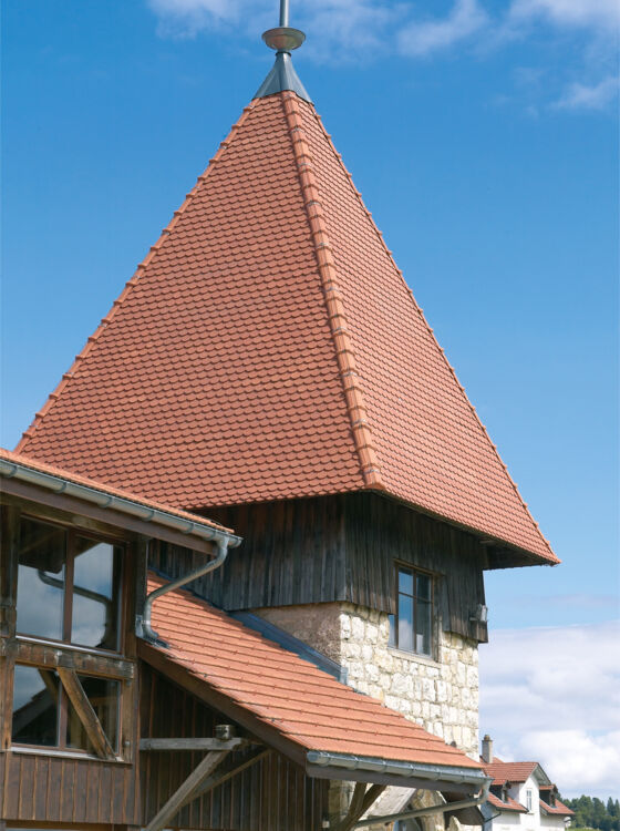 Pferdezentrum, tile, Campa, ZZ Wancor Pferdezentrum Marché-Concours in Saignélegier
